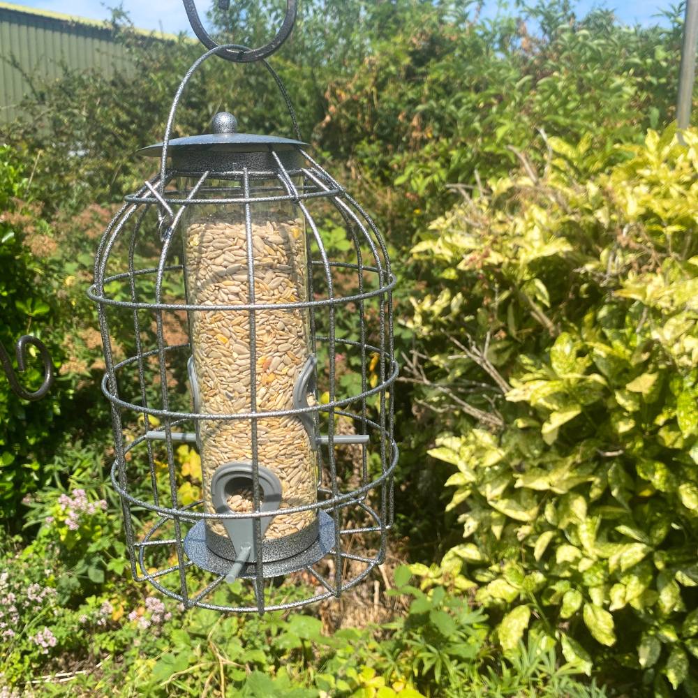 Squirrel Resistant Bird Seed Feeder